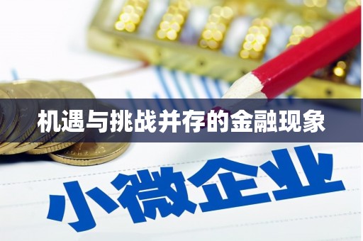 暖暖机遇与挑战并存的金融现象