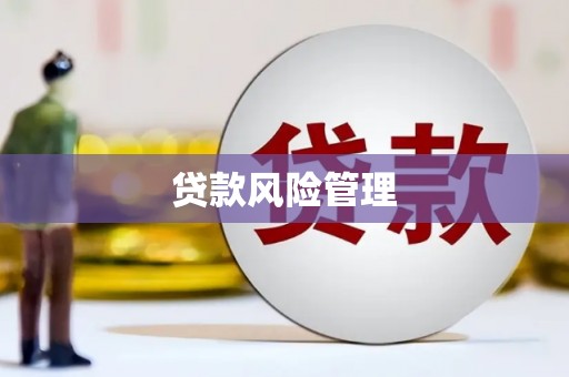 暖暖贷款风险管理