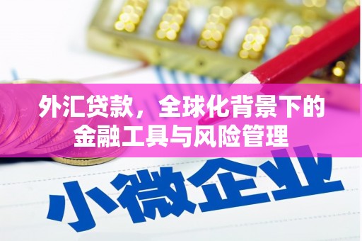 暖暖外汇贷款，全球化背景下的金融工具与风险管理