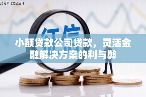 暖暖小额贷款公司贷款，灵活金融解决方案的利与弊