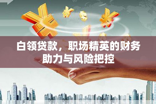 暖暖白领贷款，职场精英的财务助力与风险把控