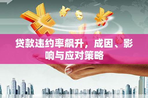 暖暖贷款违约率飙升，成因、影响与应对策略